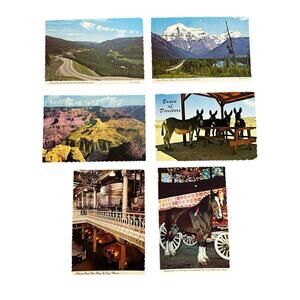 Lot of 6 Vintage Scenery Nature Horse Scalloped Edges Postcards
